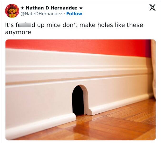 Hilarious Memes To Instantly Boost Your Mood