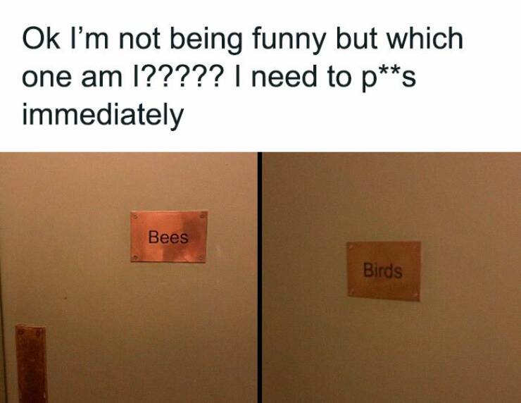 Hilarious Memes To Instantly Boost Your Mood