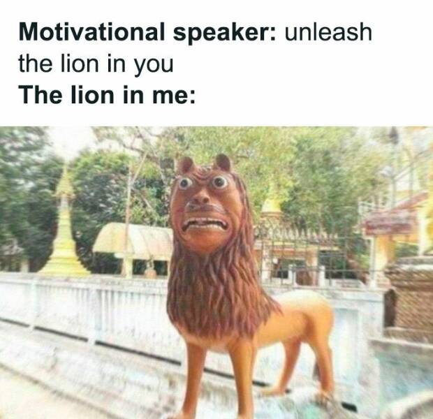 Hilarious Memes To Instantly Boost Your Mood