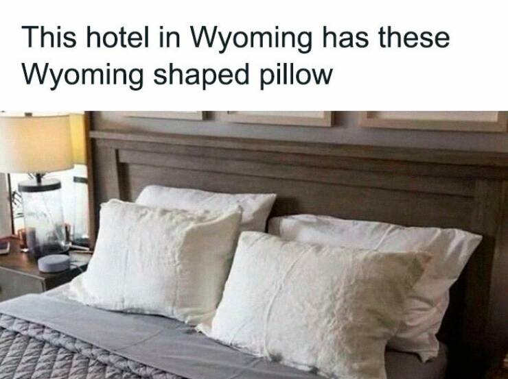 Hilarious Memes To Instantly Boost Your Mood