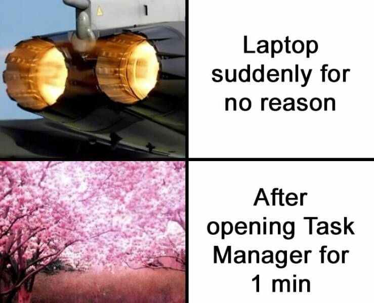 Hilarious Memes To Instantly Boost Your Mood