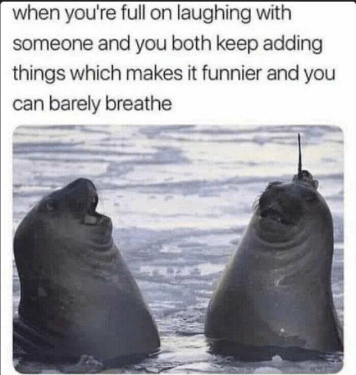 Hilarious Memes To Instantly Boost Your Mood