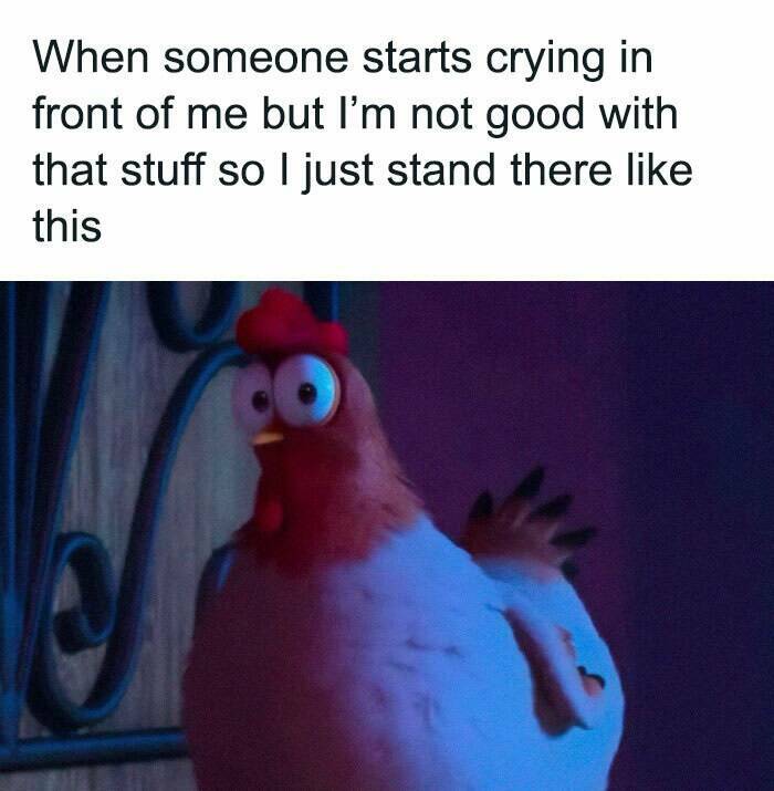 Hilarious Memes To Instantly Boost Your Mood