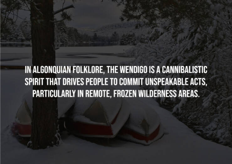 Terrifying Facts You’ll Wish You Never Knew