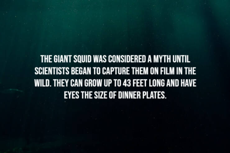 Terrifying Facts You’ll Wish You Never Knew