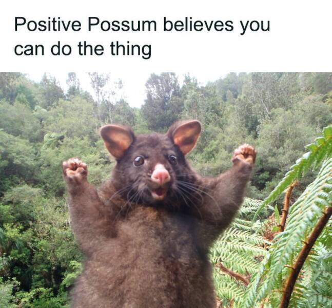 Totally Random, Absolutely Hilarious Memes Totally Random, Absolutely Hilarious Memes