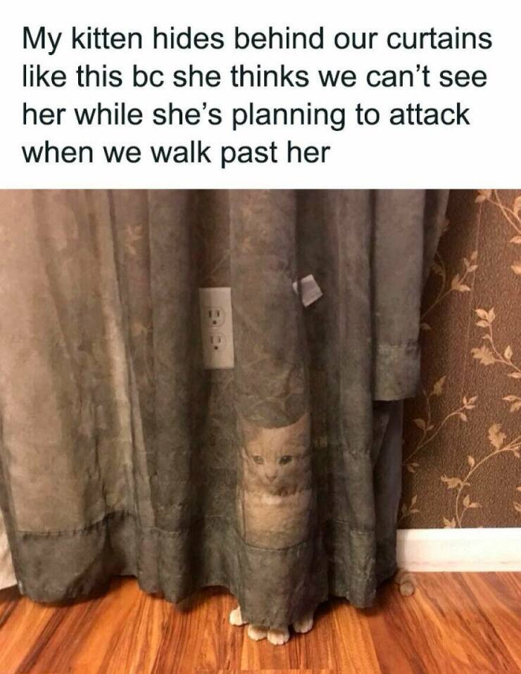 Totally Random, Absolutely Hilarious Memes Totally Random, Absolutely Hilarious Memes