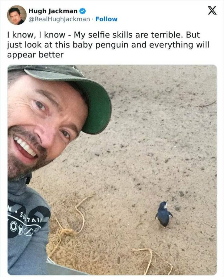 Totally Random, Absolutely Hilarious Memes Totally Random, Absolutely Hilarious Memes