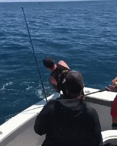 Daily Gifdump Daily Gifdump