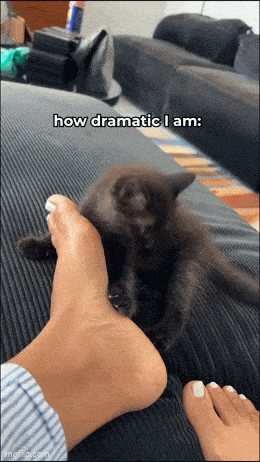 Daily Gifdump Daily Gifdump