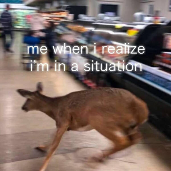 Don’t Laugh If You Don’t Wanna Lose!