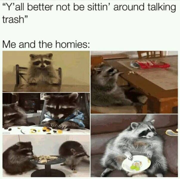 Don’t Laugh If You Don’t Wanna Lose!