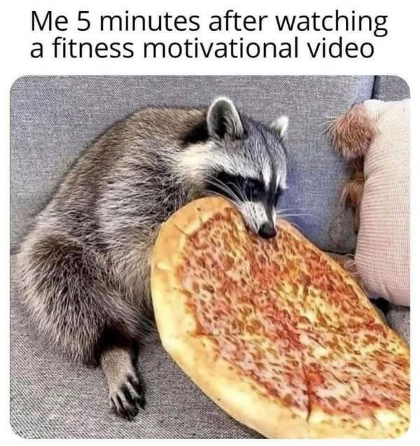 Don’t Laugh If You Don’t Wanna Lose!