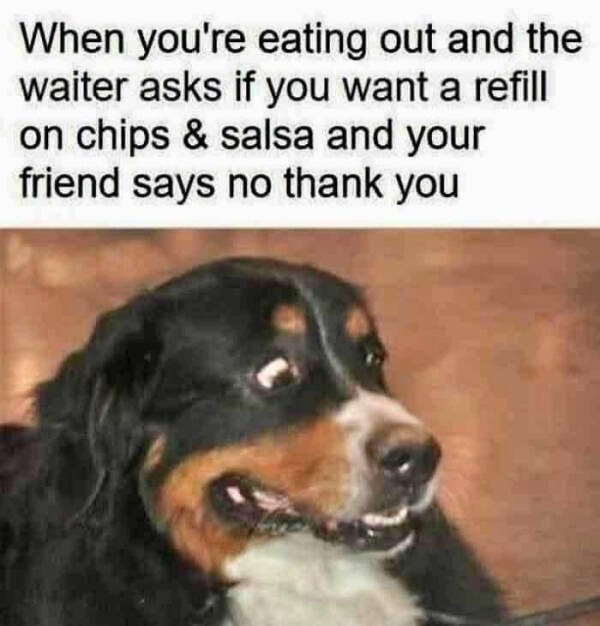 Don’t Laugh If You Don’t Wanna Lose!