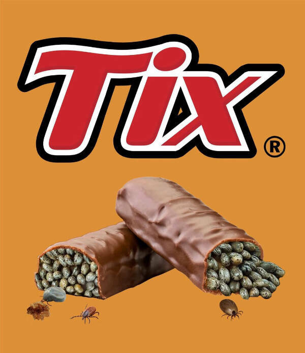 Don’t Laugh If You Don’t Wanna Lose!