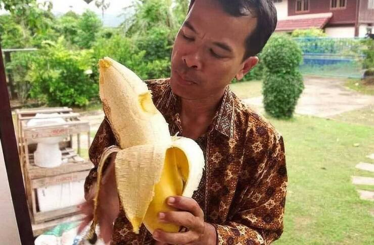 Morning Picdump Morning Picdump