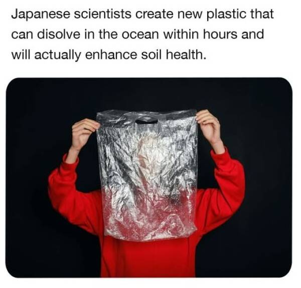 Morning Picdump Morning Picdump