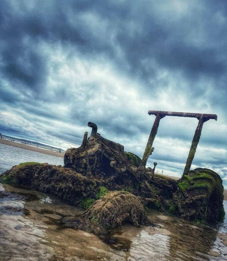 Morning Picdump Morning Picdump