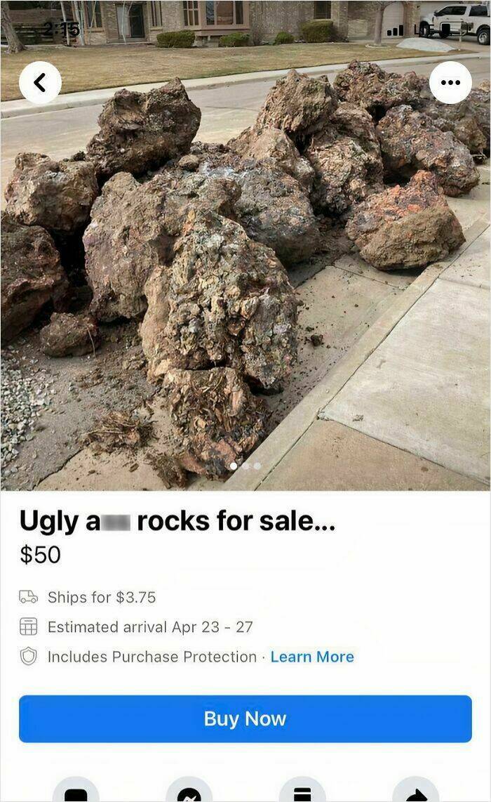 The Wildest Things Ever Listed On FB Marketplace