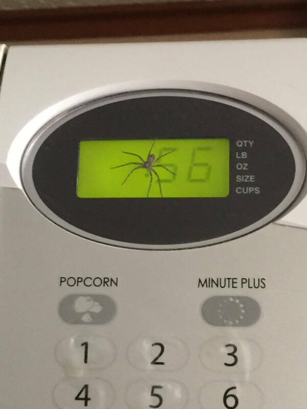 When Bad Days Strike