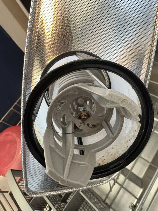 When Bad Days Strike