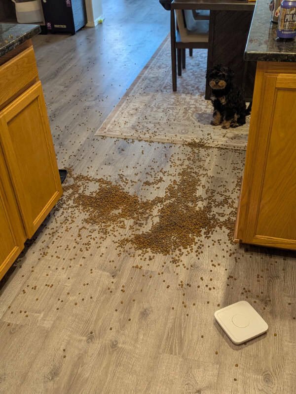 When Bad Days Strike