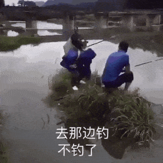 Daily Gifdump Daily Gifdump