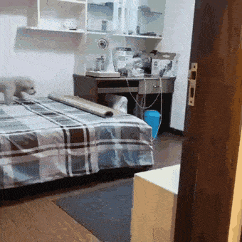 Daily Gifdump Daily Gifdump