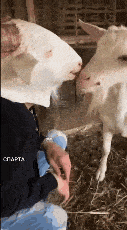 Daily Gifdump Daily Gifdump