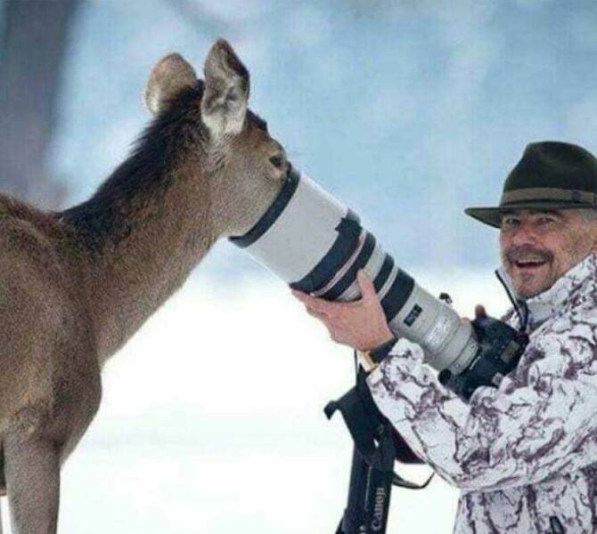 Funny Animal Pics That Are Guaranteed To Brighten Your Day