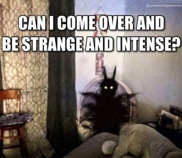 Funny Picdump Funny Picdump