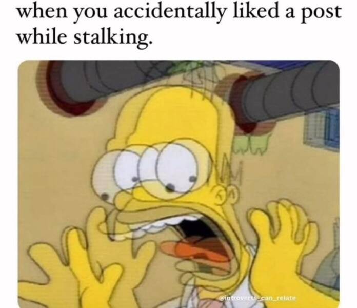 Funny Picdump Funny Picdump