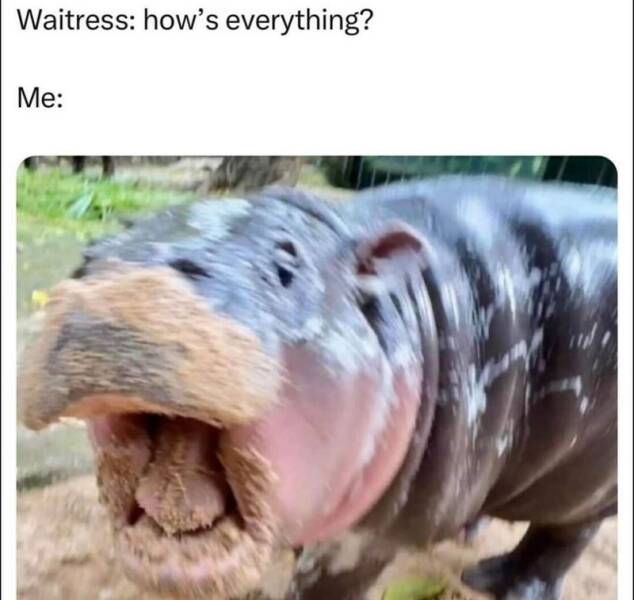 Funny Picdump Funny Picdump