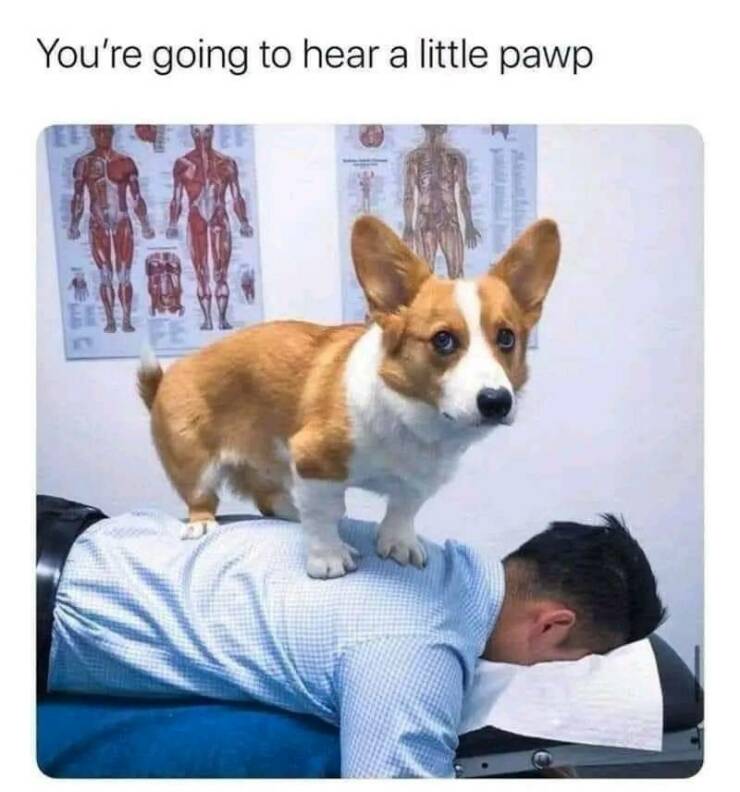 Funny Picdump Funny Picdump