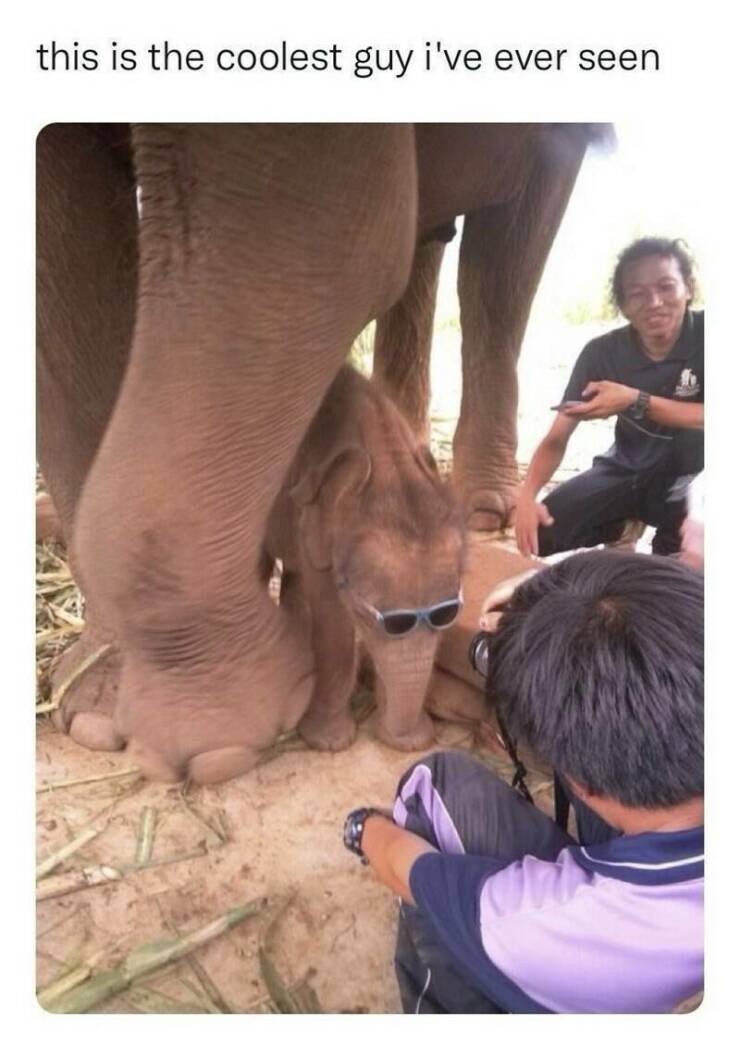 Funny Picdump Funny Picdump