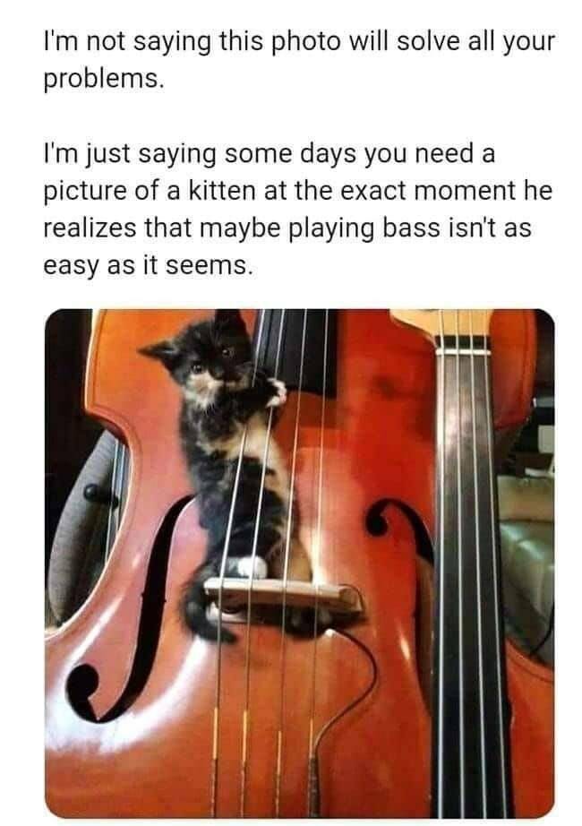 Funny Picdump Funny Picdump