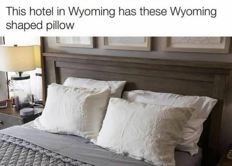 Memes That Take Things Way Too Literally