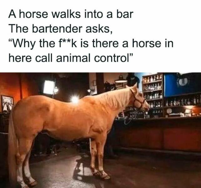 Memes That Take Things Way Too Literally