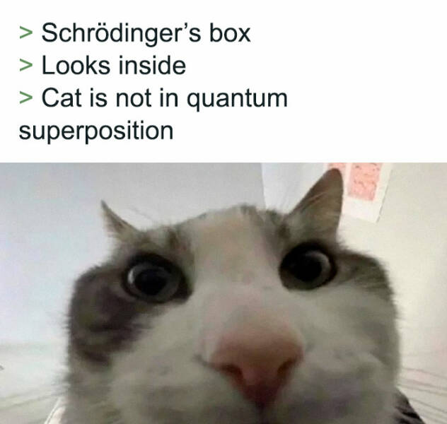 Memes That Take Things Way Too Literally