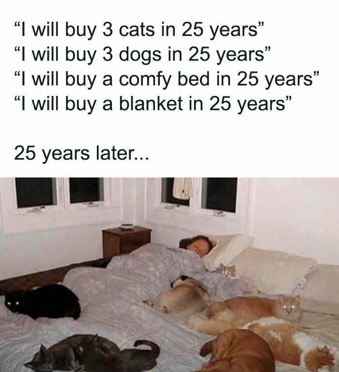 Memes That Take Things Way Too Literally