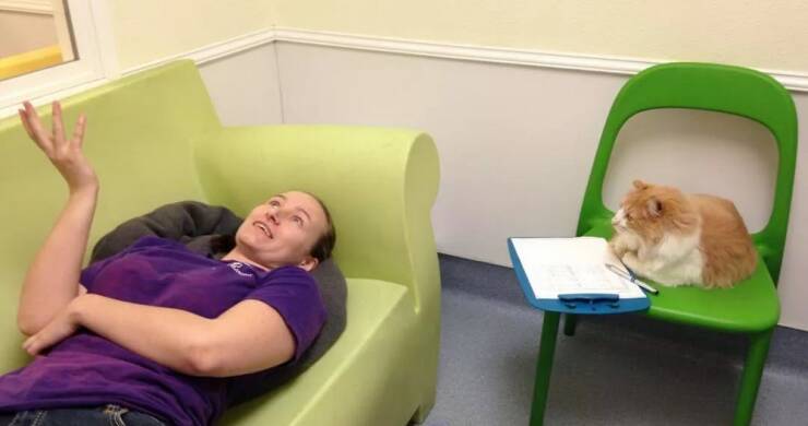 Morning Picdump Morning Picdump