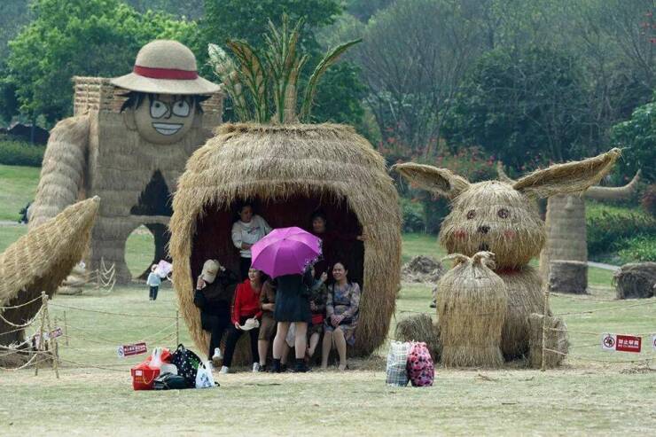 Morning Picdump Morning Picdump