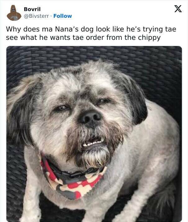 The Funniest Scottish Posts That Prove Scotland Is Built Different The Funniest Scottish Posts That Prove Scotland Is Built Different