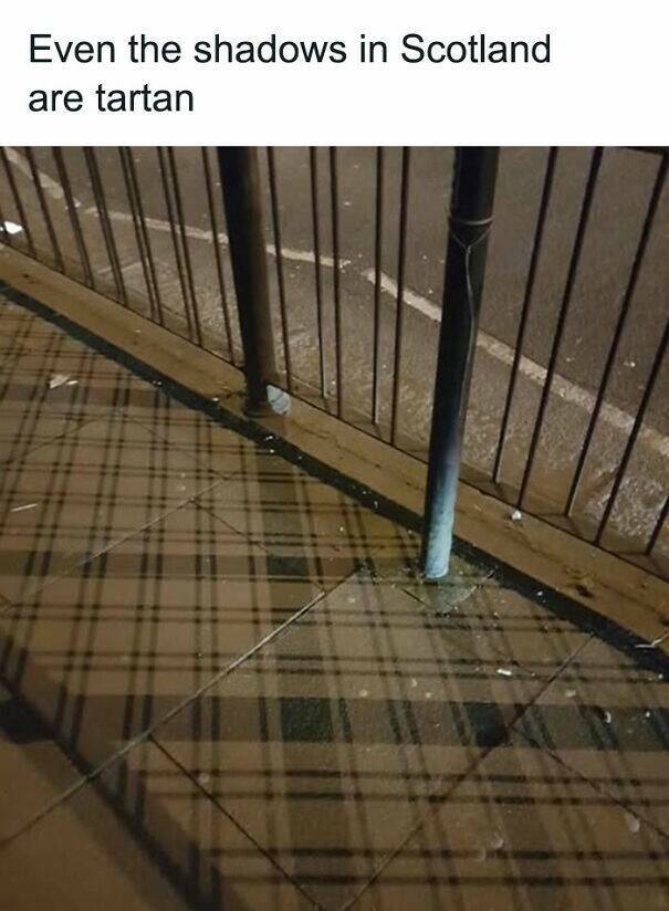 The Funniest Scottish Posts That Prove Scotland Is Built Different The Funniest Scottish Posts That Prove Scotland Is Built Different