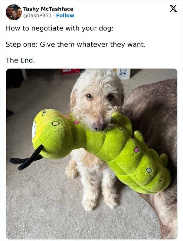 The Funniest Scottish Posts That Prove Scotland Is Built Different The Funniest Scottish Posts That Prove Scotland Is Built Different