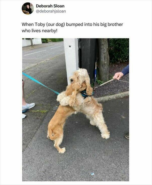 The Funniest Scottish Posts That Prove Scotland Is Built Different The Funniest Scottish Posts That Prove Scotland Is Built Different