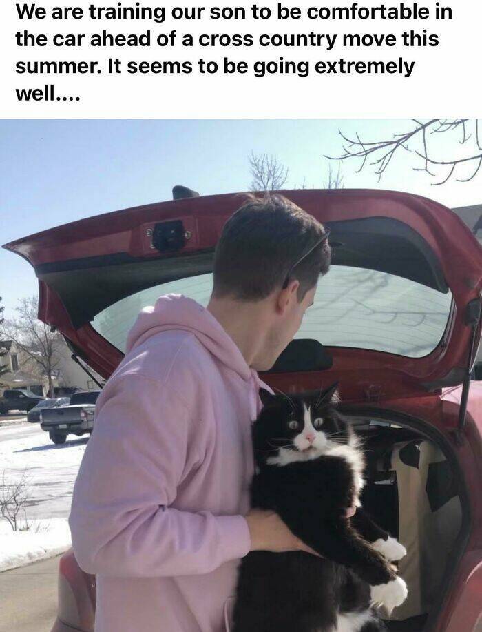 Adorable Cat Photos That Will Instantly Brighten Your Day