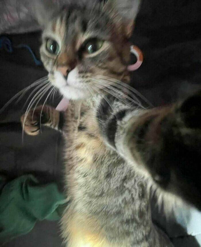 Hard Images That Are Just Too Unhinged To Ignore