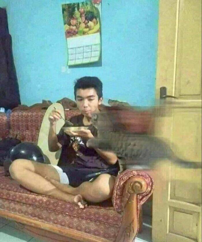 Hard Images That Are Just Too Unhinged To Ignore