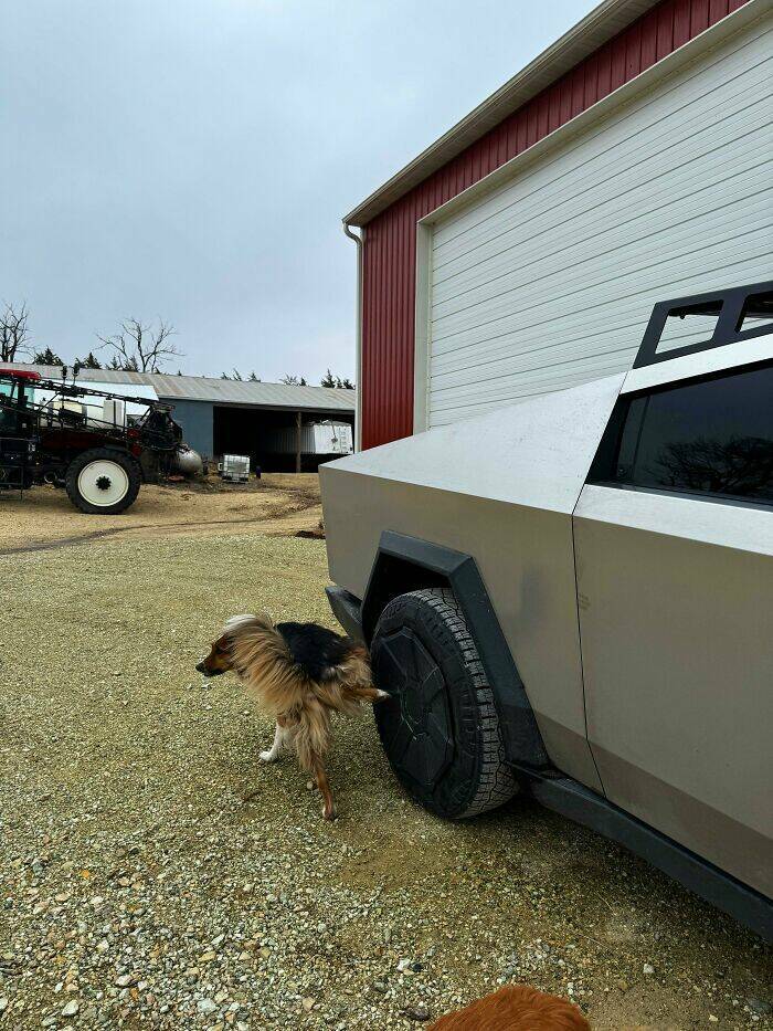 Cybertruck Fails That Have Us Questioning Reality